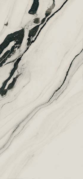 PAN WH6 278 LP.jpg